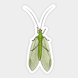 Lacewing (center) Sticker